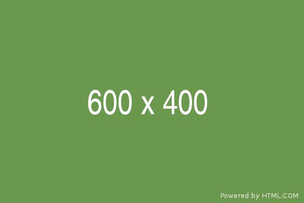 Test 2