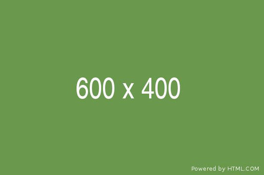 Test 2